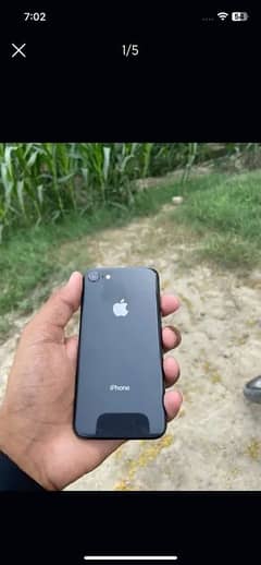 iphone 8