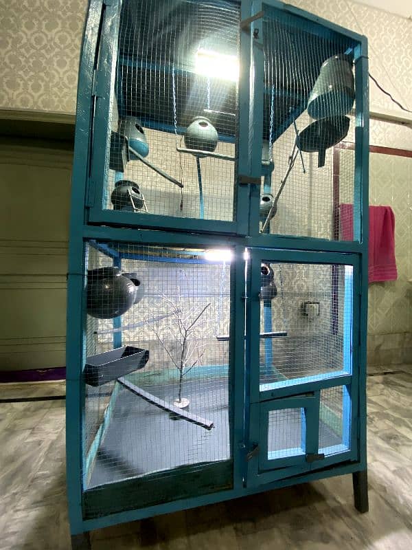 New Cage For Parrots (Coloured+Sheeted) 3