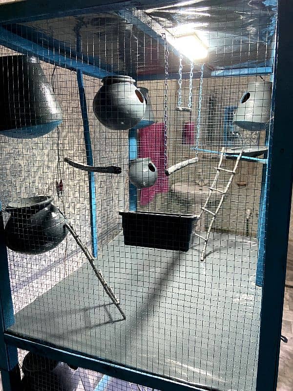 New Cage For Parrots (Coloured+Sheeted) 5