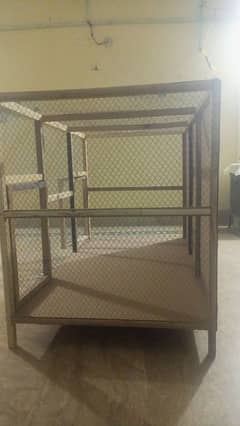 cage for hen s and birds