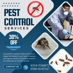 Deemak Control Fumigation Service Pest Control Termite Dangue Control