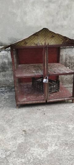 Hen Cage