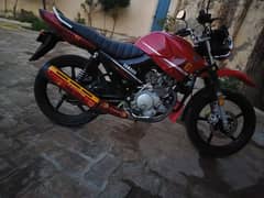 ybr125g