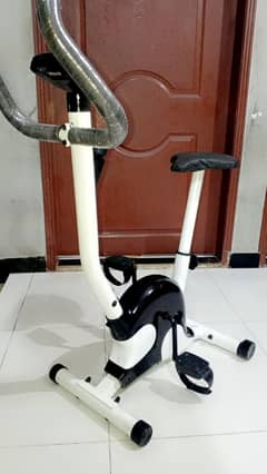 Exercise Cycle