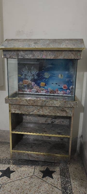 Fish Aquarium 0