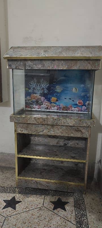 Fish Aquarium 3