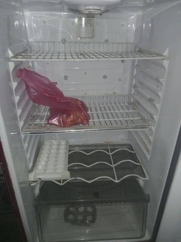 fridge 1