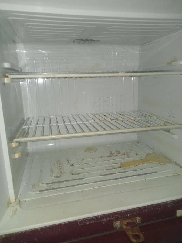 fridge 2