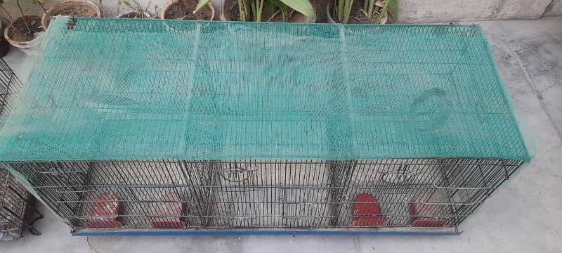 3 portion cage with 10 budgies matki 1