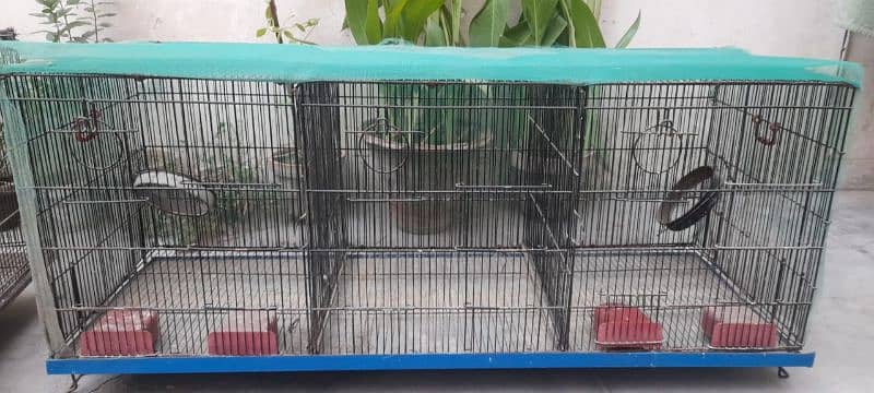 3 portion cage with 10 budgies matki 3