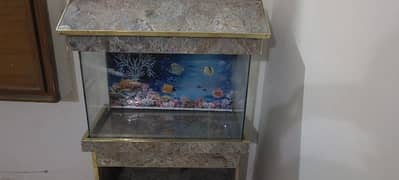 Fish Aquarium with free gift