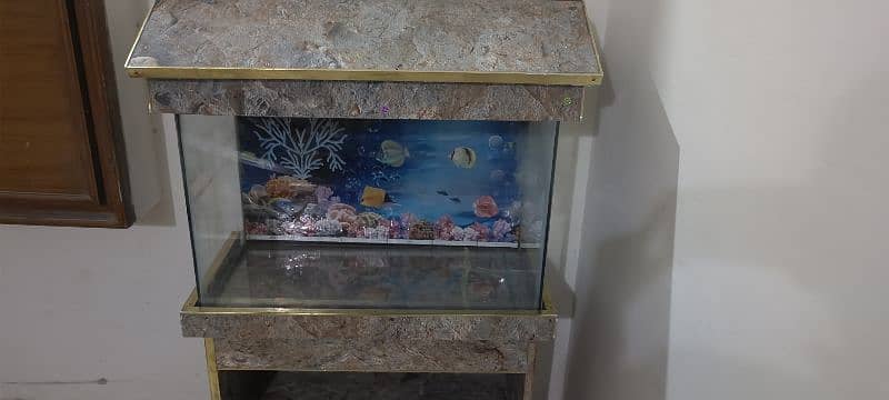 Fish Aquarium with free gift 0