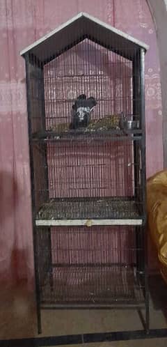 cage for birds parrots animals