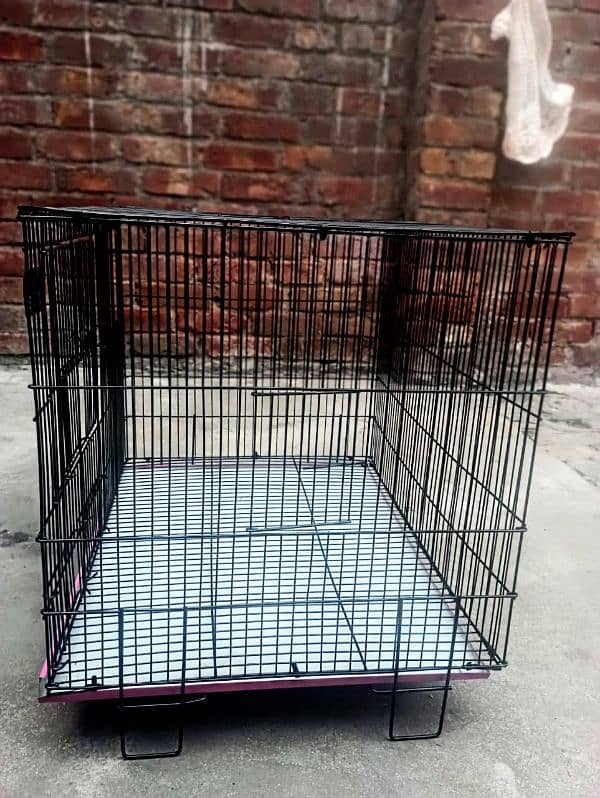 Folding Cage 4