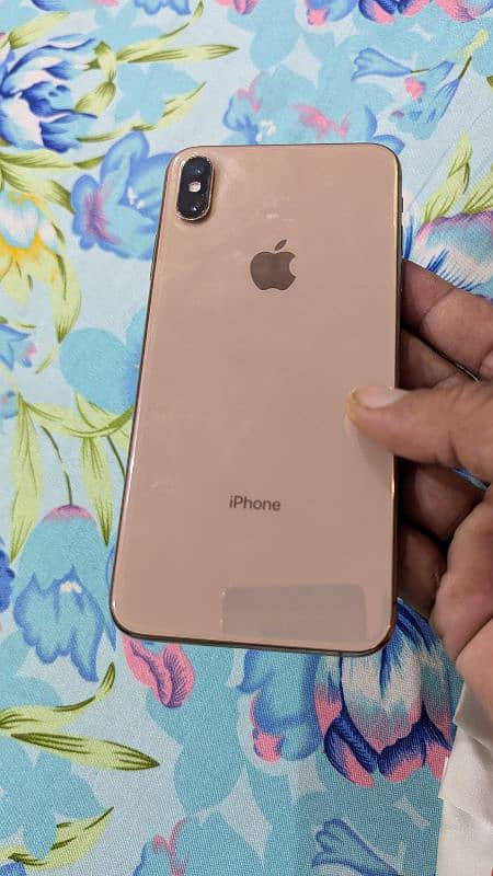 Xs Max 256 Dual Physical Approved 0