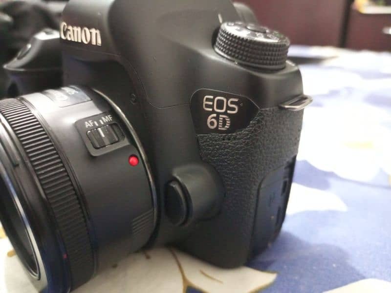 Canon 6d with STM 50mm lens. 2