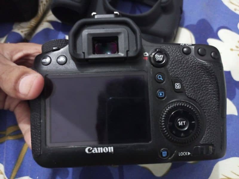 Canon 6d with STM 50mm lens. 4