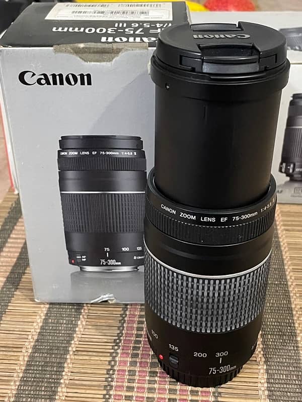 canon lens 75-300mm 1