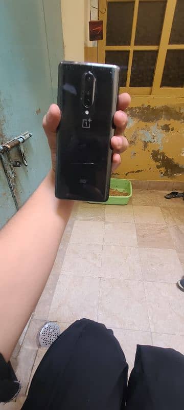 one plus 8 pta approved 1