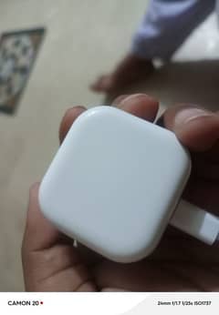 Apple Charger Branded