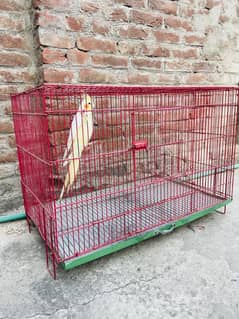 big size cage