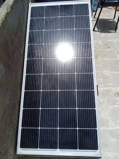 lino 220 watt solar