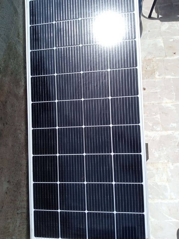 lino 220 watt solar 1