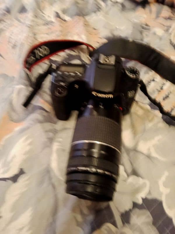 canon70d 70/300 lens 2