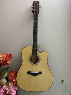 Hi Volts Acoustic Guitar