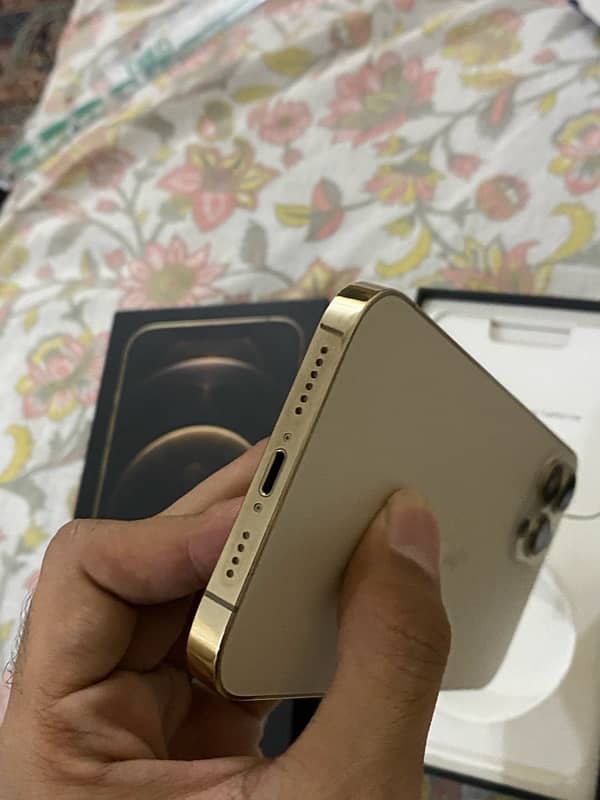 Iphone 12 Pro Max Gold 128Gb (Pta Approved) 3