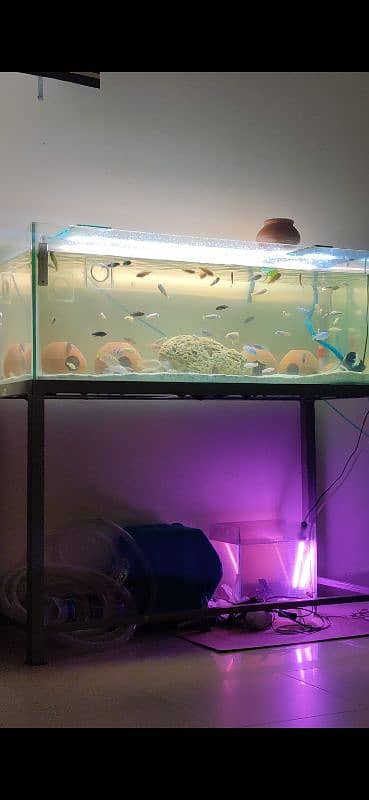 4 feet monster aquarium 1