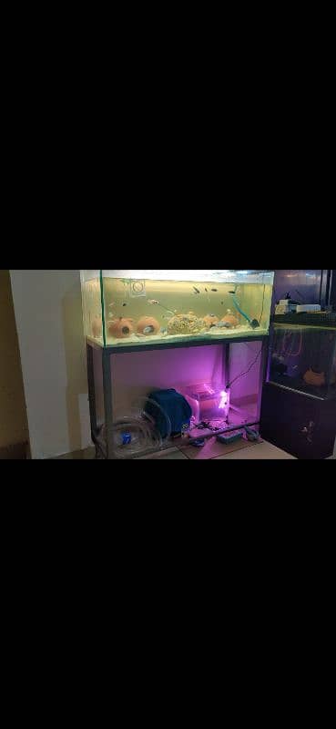 4 feet monster aquarium 3