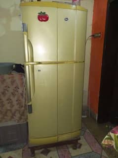 PELL Big Size Refrigerator in a Very Good and Perfect condition