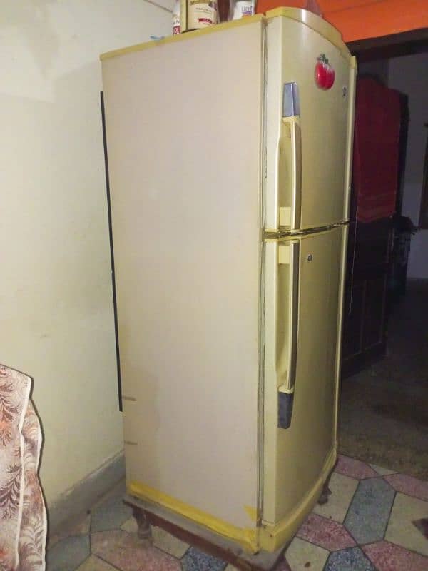 PELL Big Size Refrigerator in a Very Good and Perfect condition 1