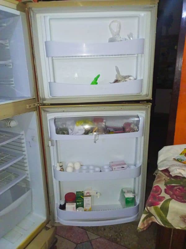 PELL Big Size Refrigerator in a Very Good and Perfect condition 3