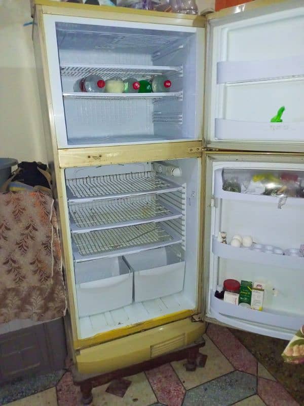 PELL Big Size Refrigerator in a Very Good and Perfect condition 4