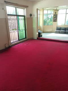 Single storey building for rent