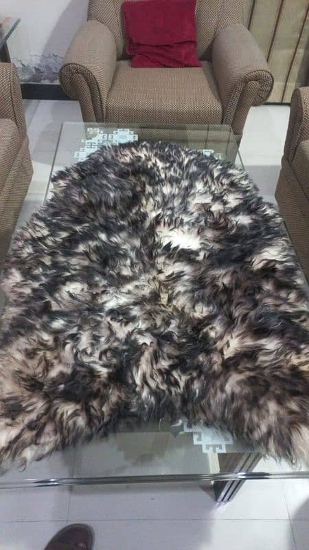 Icelandic natural gray sheep skin antique piece 2