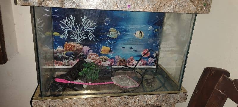 Fish Aquarium with free gift 1