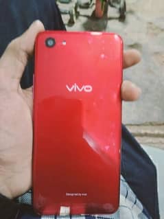 vivo