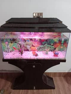 fish Aquarium 03436740541