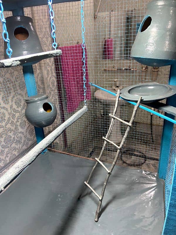 Well Furnished Cage For Parrots (Coloured+Sheeted) 1