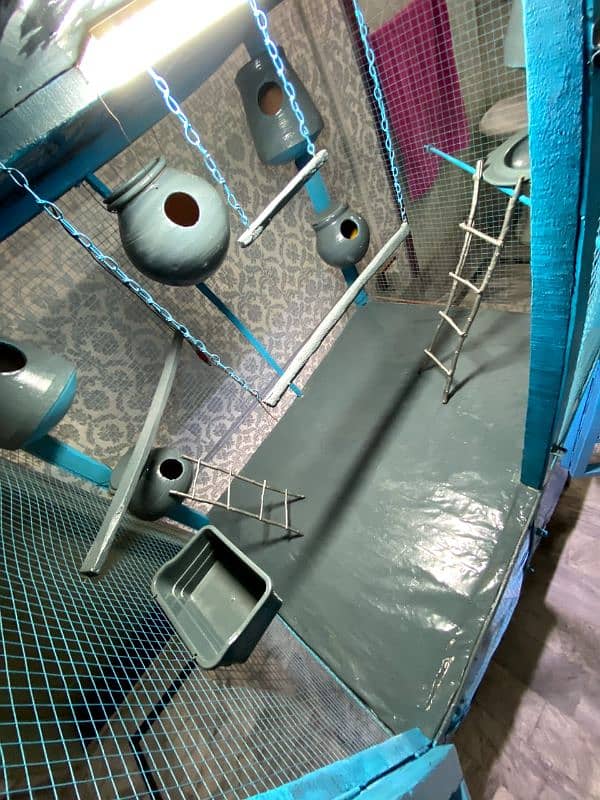 Well Furnished Cage For Parrots (Coloured+Sheeted) 4