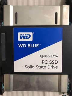 WD