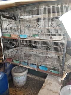 cage for sell