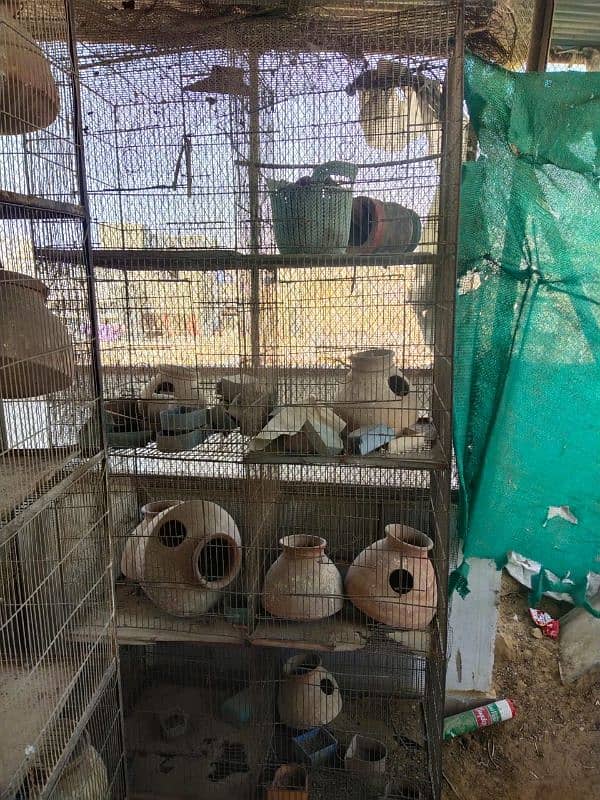 cage for sell 6