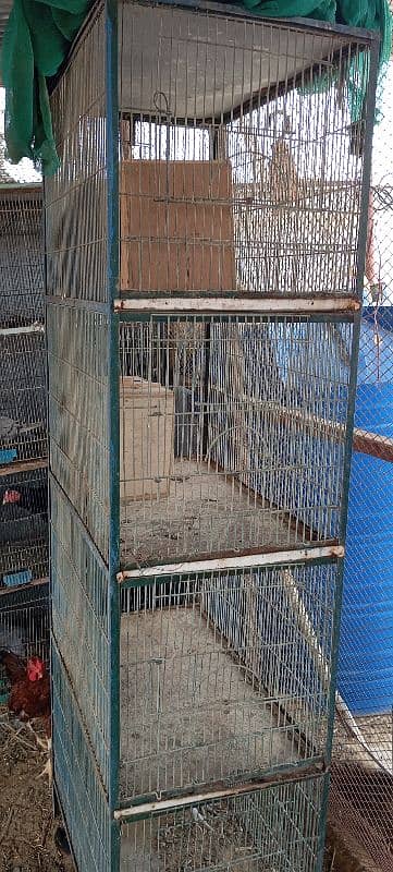 cage for sell 16