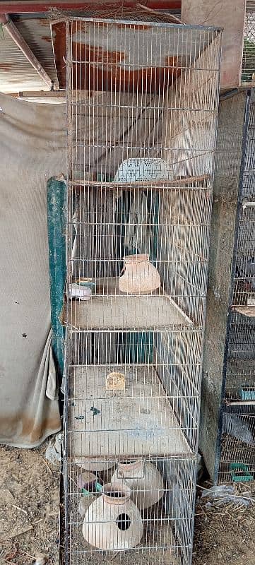 cage for sell 17