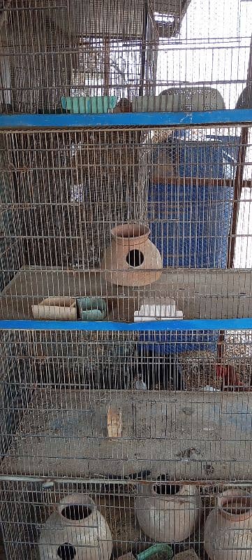 cage for sell 18