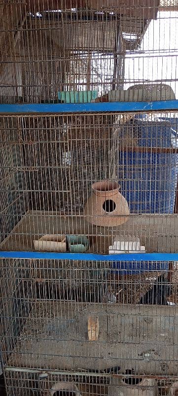 cage for sell 19